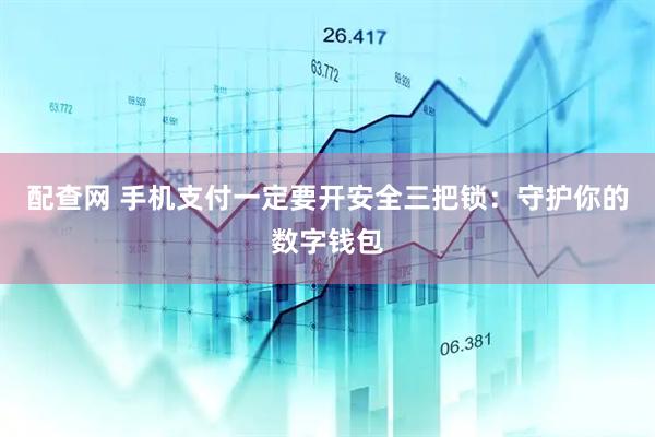 配查网 手机支付一定要开安全三把锁：守护你的数字钱包