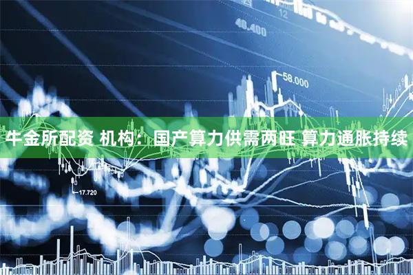 牛金所配资 机构：国产算力供需两旺 算力通胀持续