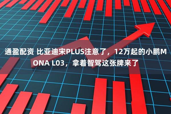 通盈配资 比亚迪宋PLUS注意了,12万起的小鹏MONA L03,拿着智驾这张牌来了