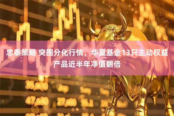 忠泰策略 突围分化行情，华夏基金13只主动权益产品近半年净值翻倍
