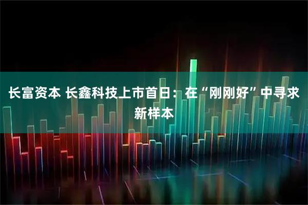 长富资本 长鑫科技上市首日：在“刚刚好”中寻求新样本