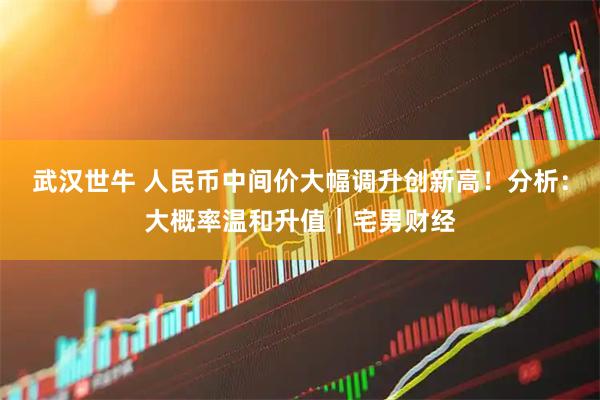 武汉世牛 人民币中间价大幅调升创新高！分析：大概率温和升值｜宅男财经