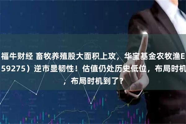 福牛财经 畜牧养殖股大面积上攻，华宝基金农牧渔ETF（159275）逆市显韧性！估值仍处历史低位，布局时机到了？