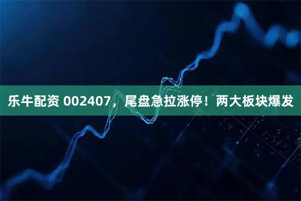 乐牛配资 002407，尾盘急拉涨停！两大板块爆发